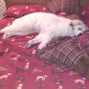 Meet your Posher, Tracy